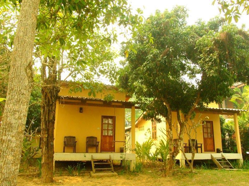 Mountain Blues Cottage Pai Dış mekan fotoğraf